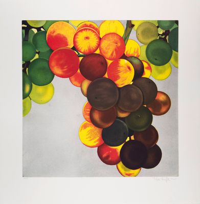 an image of a painting of a bunch of fruit hanging from a tree