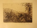 a picture of a picture of a forest with trees