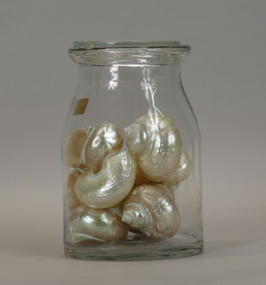 a glass jar with shells in it on a table