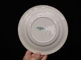 a person holding a white plate with a blue fish on it