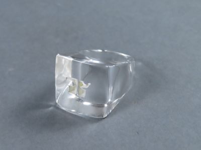 un anneau en verre transparent renfermant une fleur