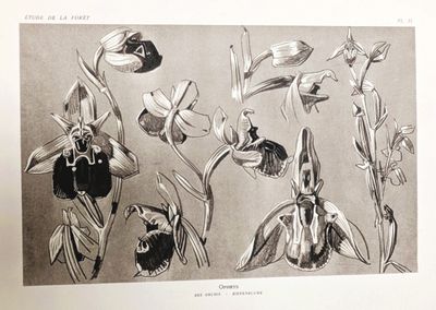 a picture of a bunch of flowers that are in a book