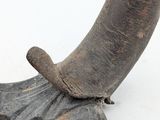 a close up of an elephant ' s tusk on a white surface