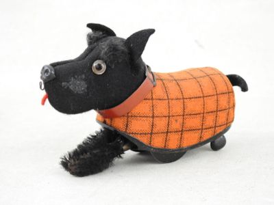 un petit chien noir qui porte un gilet orange sur le dos