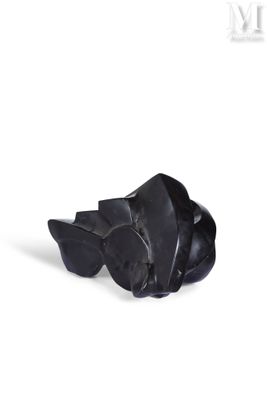 une image montrant un gros plan d'un objet noir sur fond blanc