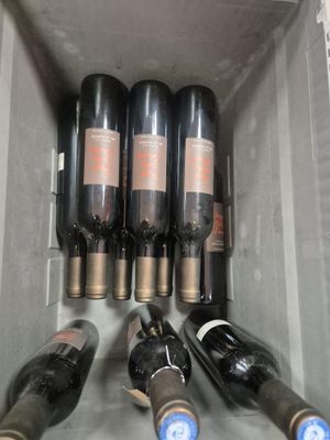 Plusieurs bouteilles de vin se trouvent dans une glacière posée sur une étagère