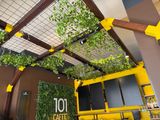 a bar with a lot of plants growing on the ceiling
