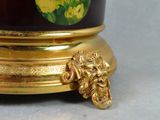 a gold plate with a picture of a lion on it