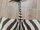 a zebra skin with a long tail on the floor