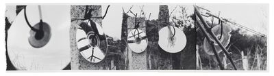 a black and white photo of a clock hanging on a tree