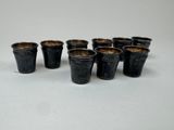 six petits pots noirs sont alignés sur une surface blanche