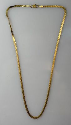 a gold necklace with a long chain on a white background