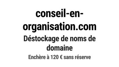 Nom de domaine conseil-en-organisation.