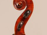 a close up of the back of a violin
