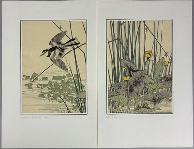 an image of two pictures of birds flying over a body of water