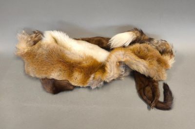 Lot d'étoles en fourrures diverses telles que vison, renard,…