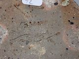 a close up of a vase with a tag on it
