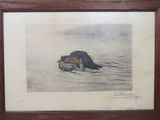 tableau représentant un chien dans l'eau, tenant un canard dans la gueule