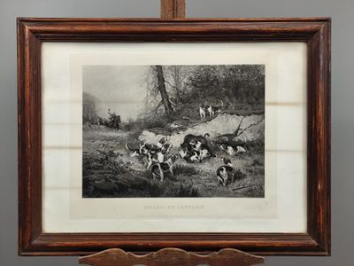 une vieille photo en noir et blanc représentant un groupe de chiens dans un champ