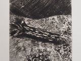 an image of a black and white drawing of a tree trunk