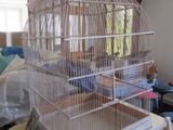 une cage à oiseaux posée sur une table dans un salon
