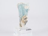 a small piece of rock that is sitting on a clear stand