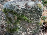 a large rock with moss growing on it in the woods