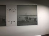 Photo 37/50 du lot