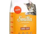 a close up of a bag of cat food on a white background