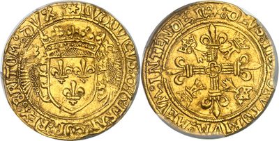a gold coin with a crown on the front and a shield on the back