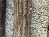a cat that is sitting next to a stone pillar