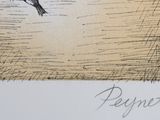 a drawing of a bird that is flying in the sky
