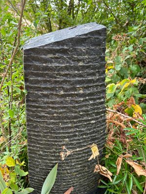 a tall black stone sitting in the middle of a forest