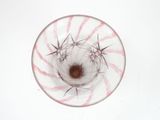 a glass bowl with a red and white design on it