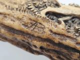 a close up of a piece of wood with carvings on it