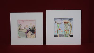 two framed pictures of jellyfishs on a red surface