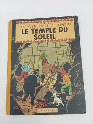 une image représentant un livre sur lequel figure l'illustration d'un homme et d'un chien