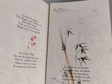 an open book with a picture of a bamboo plant on it