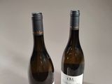 two bottles of wine sitting on top of a table next to each other