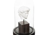 a glass cloche with a bust of a man under it