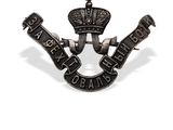 a close up of a badge with a crown on it