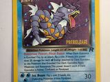 a picture of a pokemon card with a picture of a dragon on it