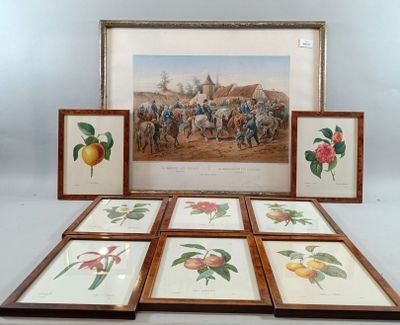 six framed prints of fruit and flowers on display in front of a picture