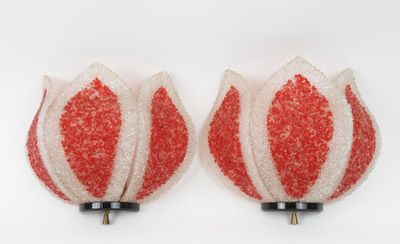pair of red and white tulips on a white background
