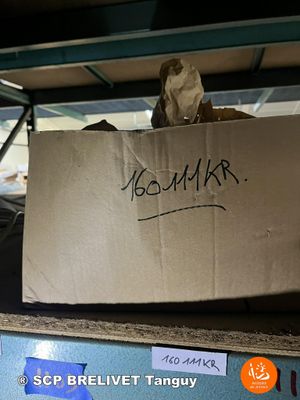 ENVIRON 11 DENTS DE FANEUSE UNIVERSELLES REF 1600111KR - Photo 1