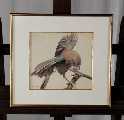 une photo d'un oiseau perché sur une table