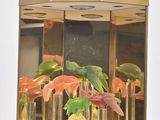 une maquette en papier d'un carrousel contenant des plantes tropicales