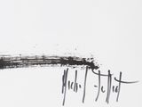 an image of a black and white drawing of a bird with a long tail