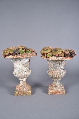pair of stone urns with plants on top of them on a gray surface