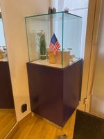 VITRINE cubique sur caisson en bois stratififé violet.
